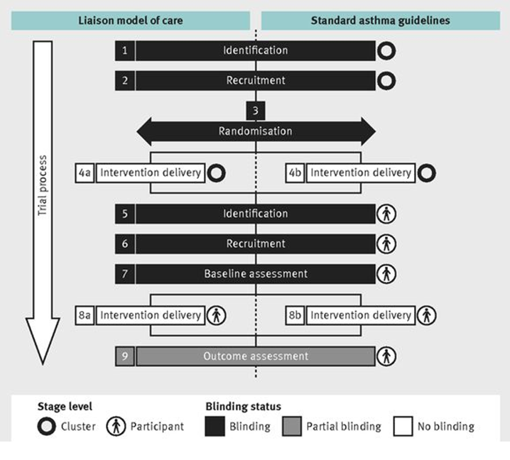 timeline_cluster